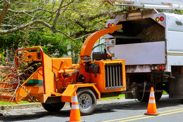 Best Aeration Services  in Progress Village, FL